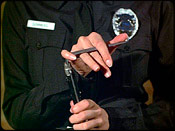 ''Jaime's Shield'' II