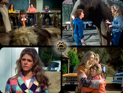 Left to Right
1. Lindsay Wagner
2. lion, Lindsay Wagner
3. Lindsay Wagner, Alicia Fleer