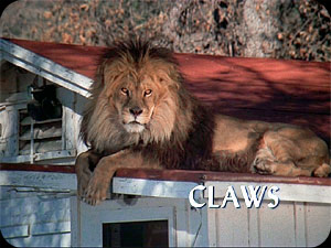 ''Claws''