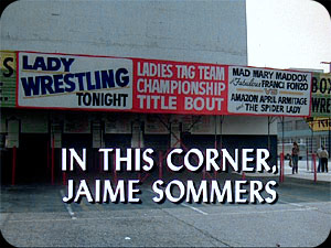 In This Corner, Jaime Sommers