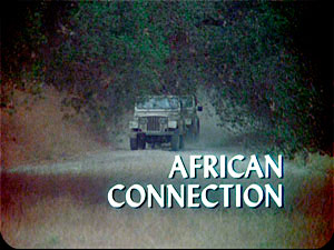 ''African Connection''