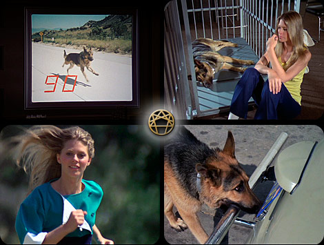 Left to Right
1. Lindsay Wagner, Bracken
2. Bracken, Lindsay Wagner
3. Bracken