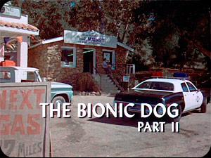 ''The Bionic Dog'' II