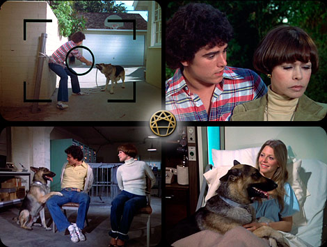 Left to Right
1. Christopher Knight, Neile Adams-McQueen
2. Bracken, Christopher Knight, Neile Adams-McQueen
3. Bracken, Lindsay Wagner