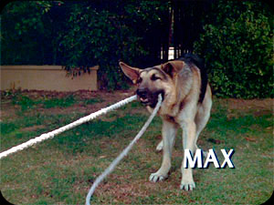 ''Max''